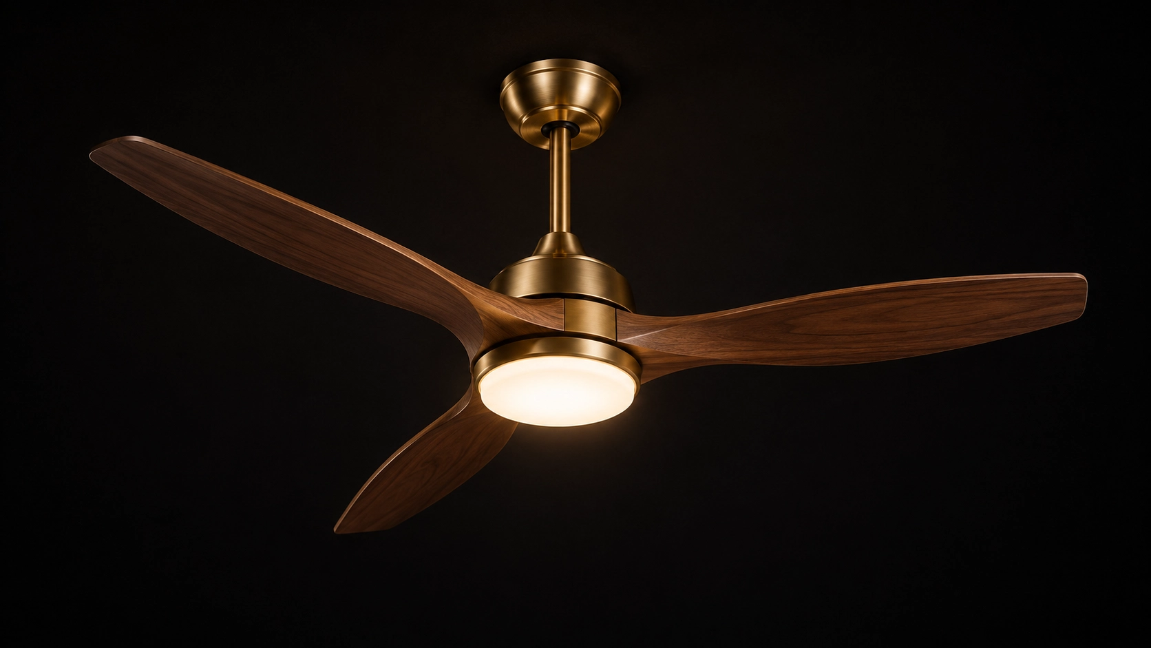 Designer ceiling fans collection