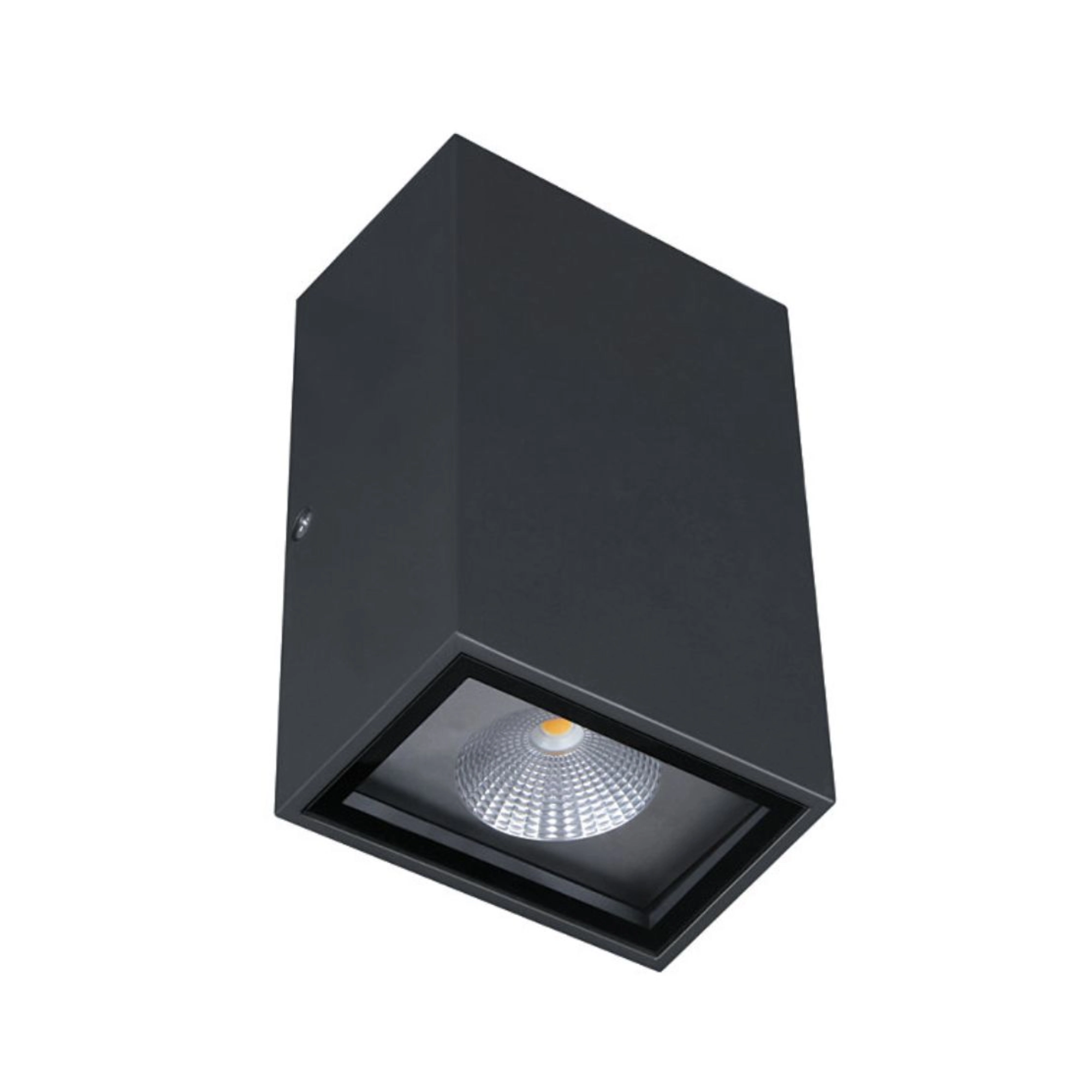 Philips 31450 Propulsio 2WayLight 10W WW
