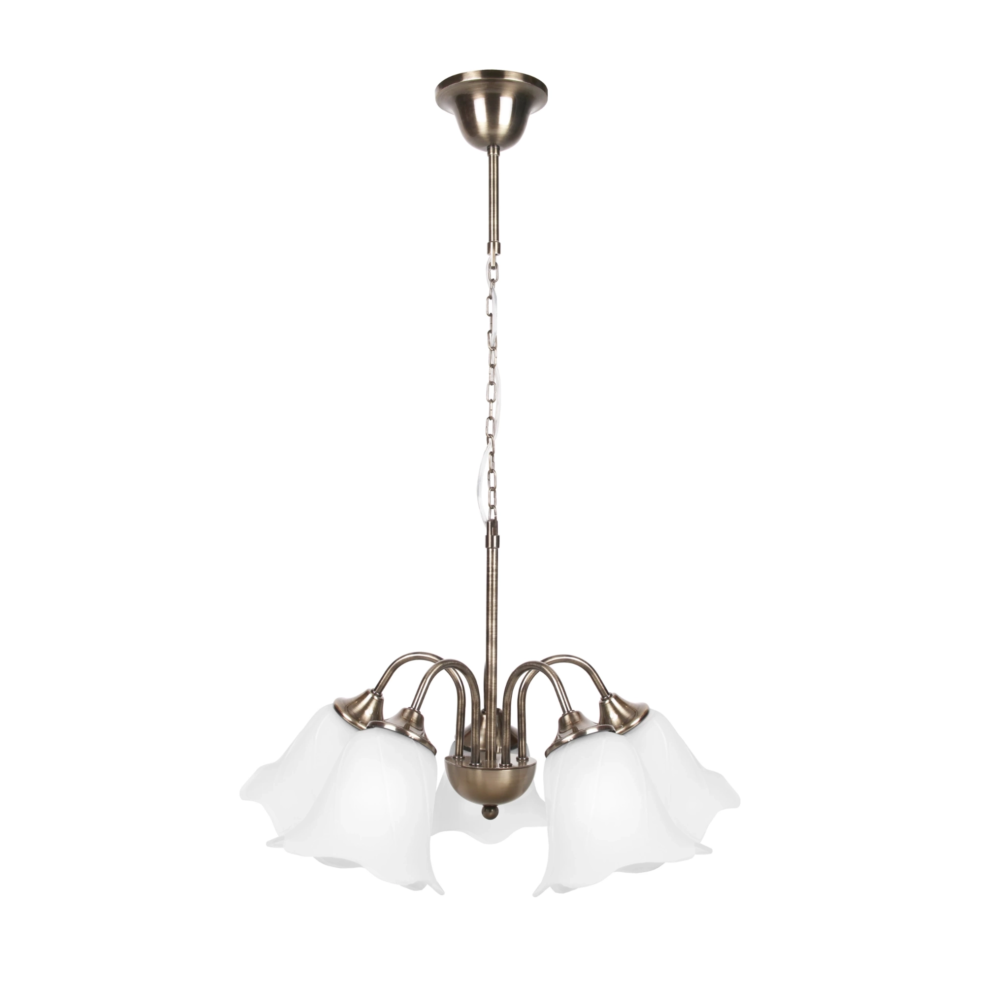 Philips 582065 Lucidus 5H Pendant Down E27